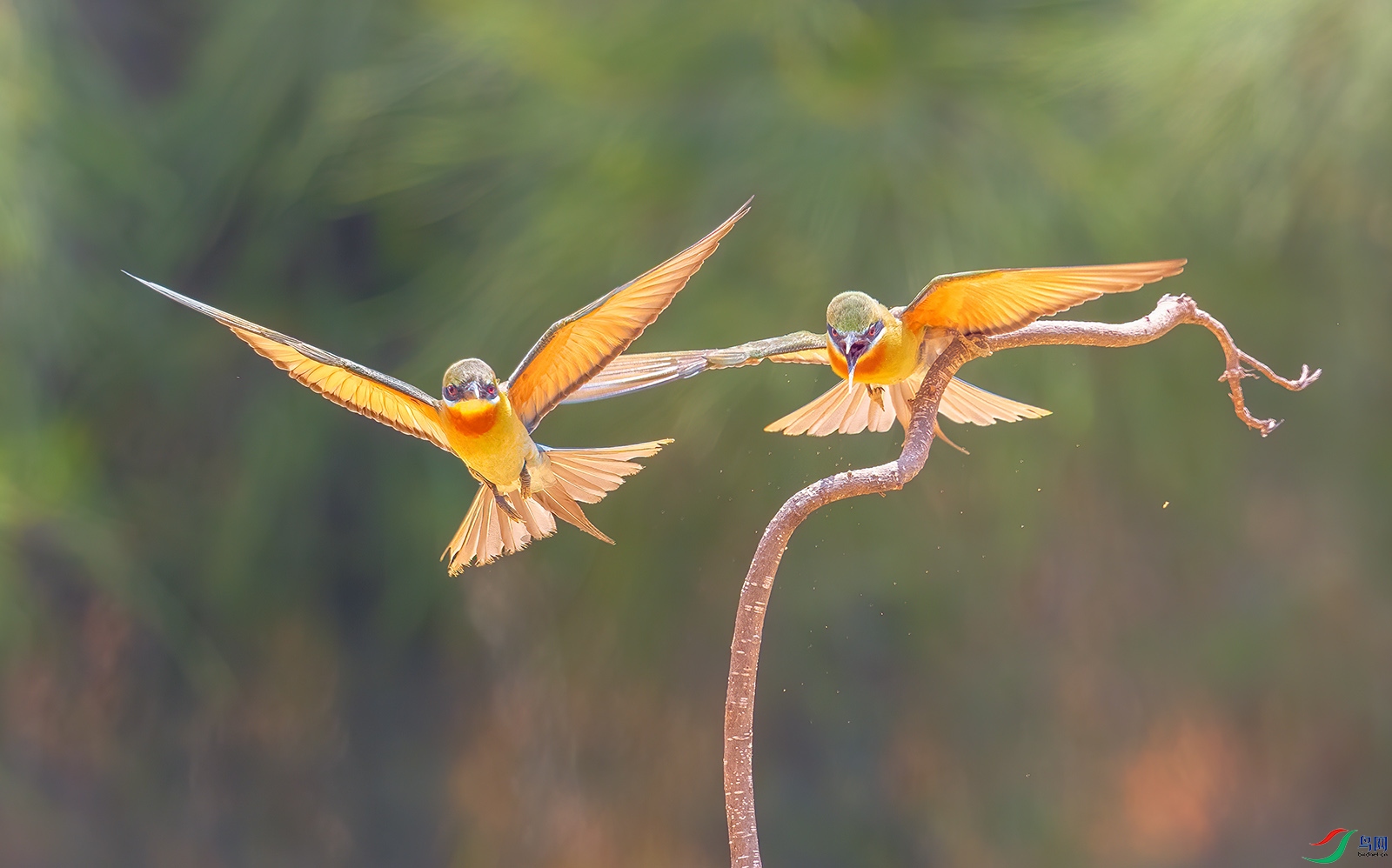 AC0I5044 ����.jpg