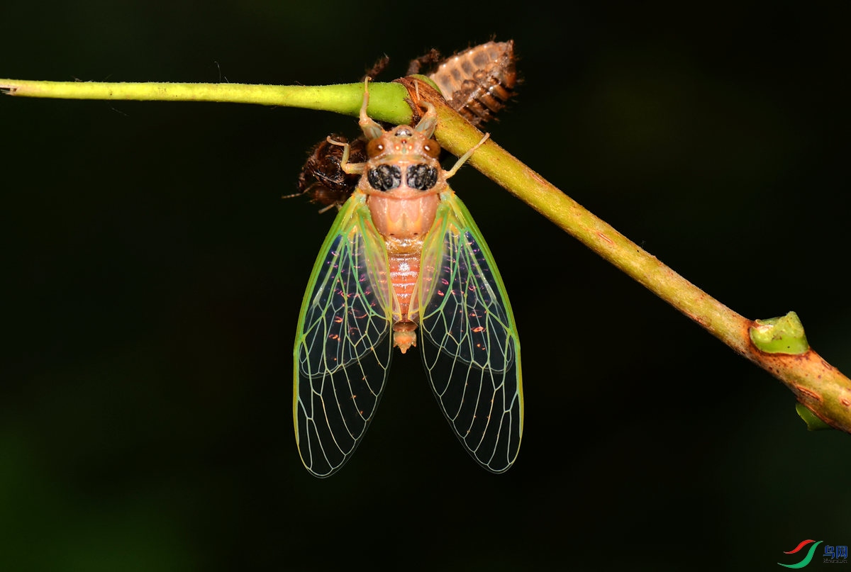DSC_8412_����.jpg