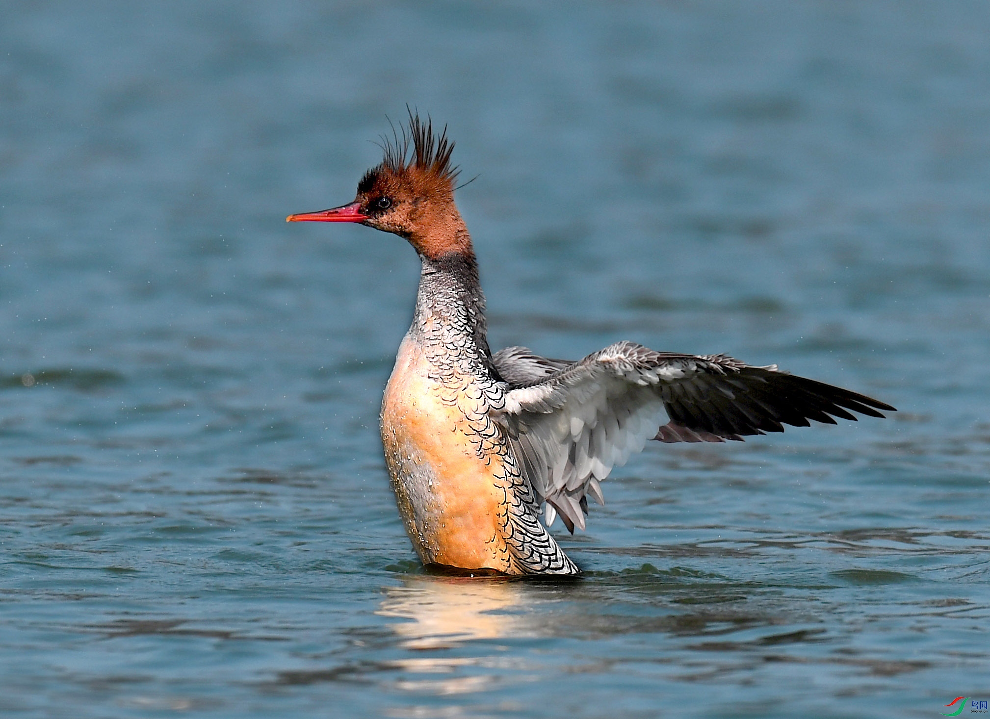 ��Ƭ 1425 - ����.jpg