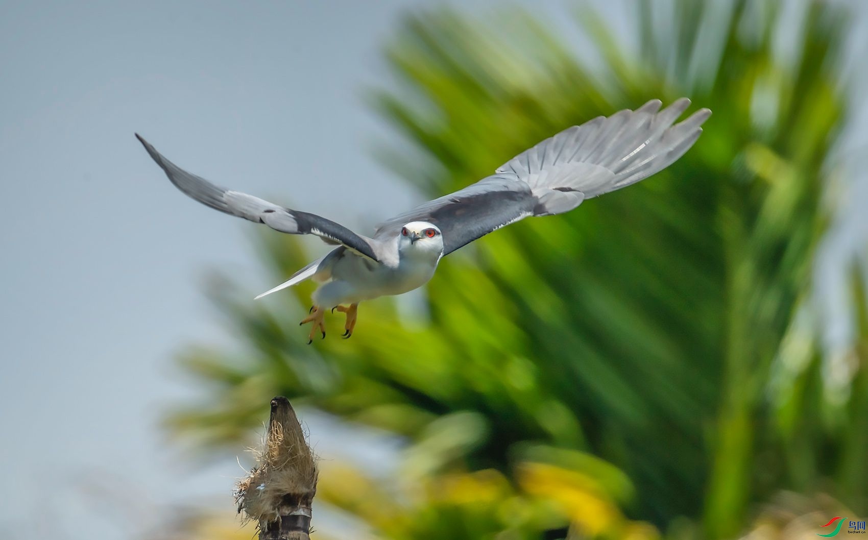 DSC_0420.jpg