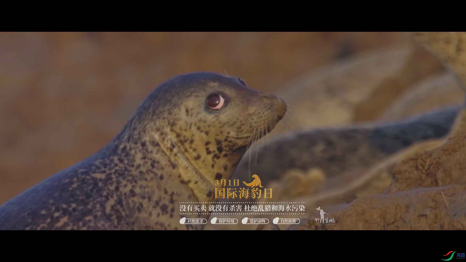 δ����_1.11.1 ����.jpg