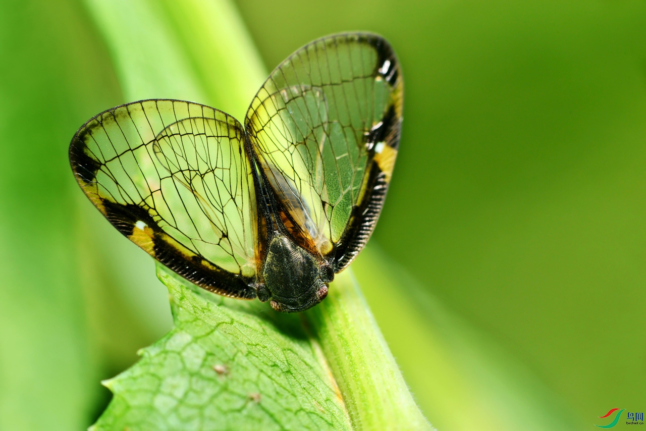 DSC_9024 ����.jpg