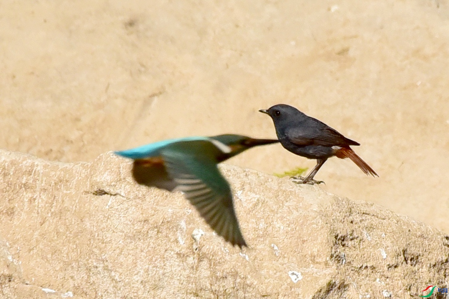 DSC_5403.JPG