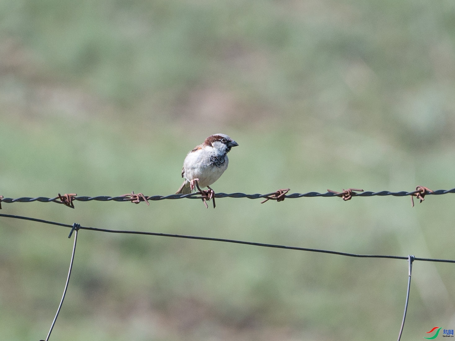 ����ͩ  ��ʦ��������.��.ά.��.��.������****��****��.jpg