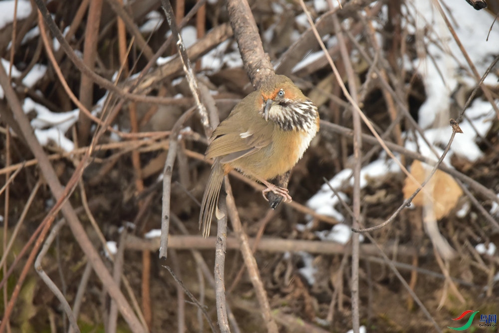 DSC_0977.JPG