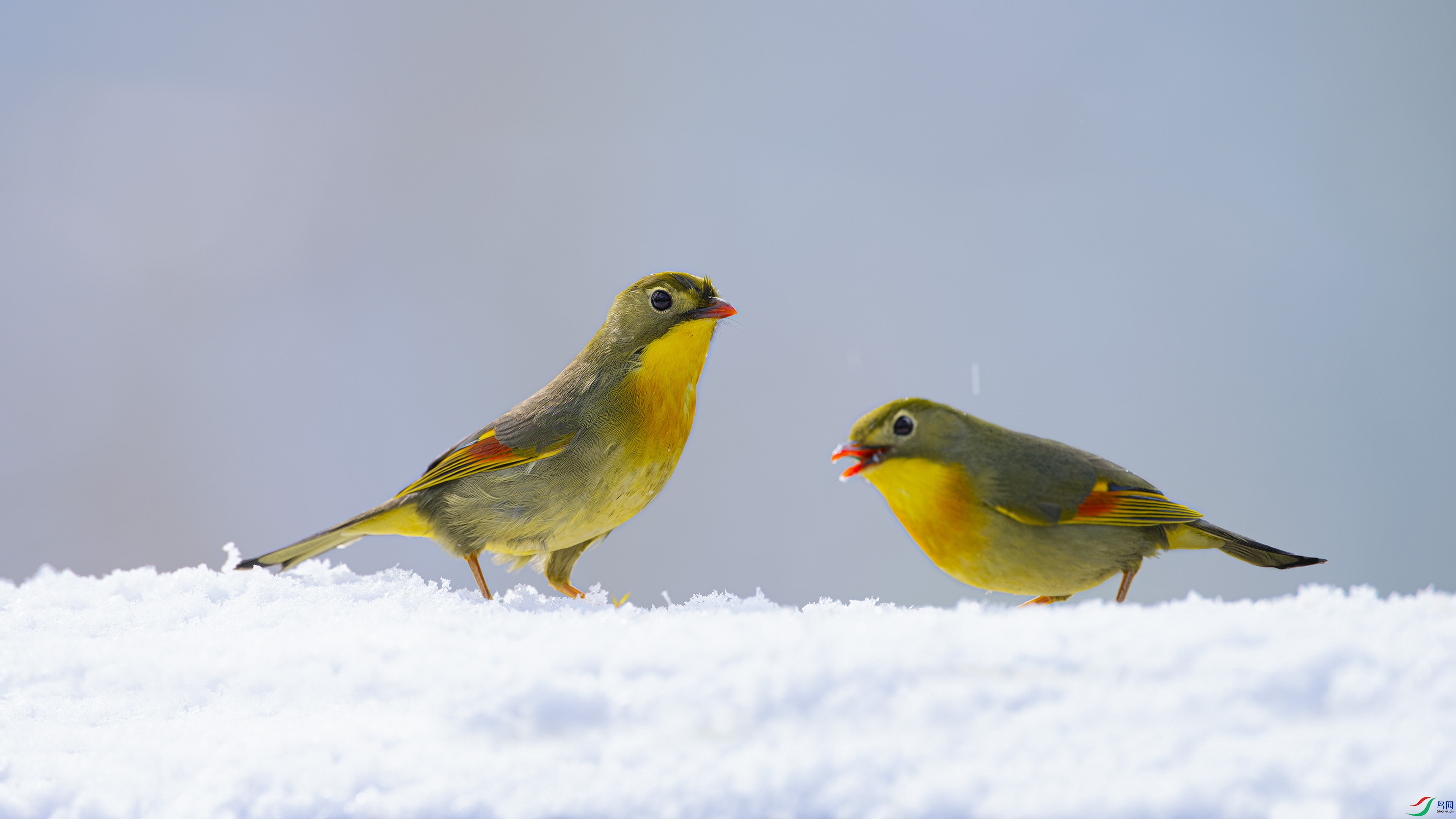 _DSC8687_DxO.jpg
