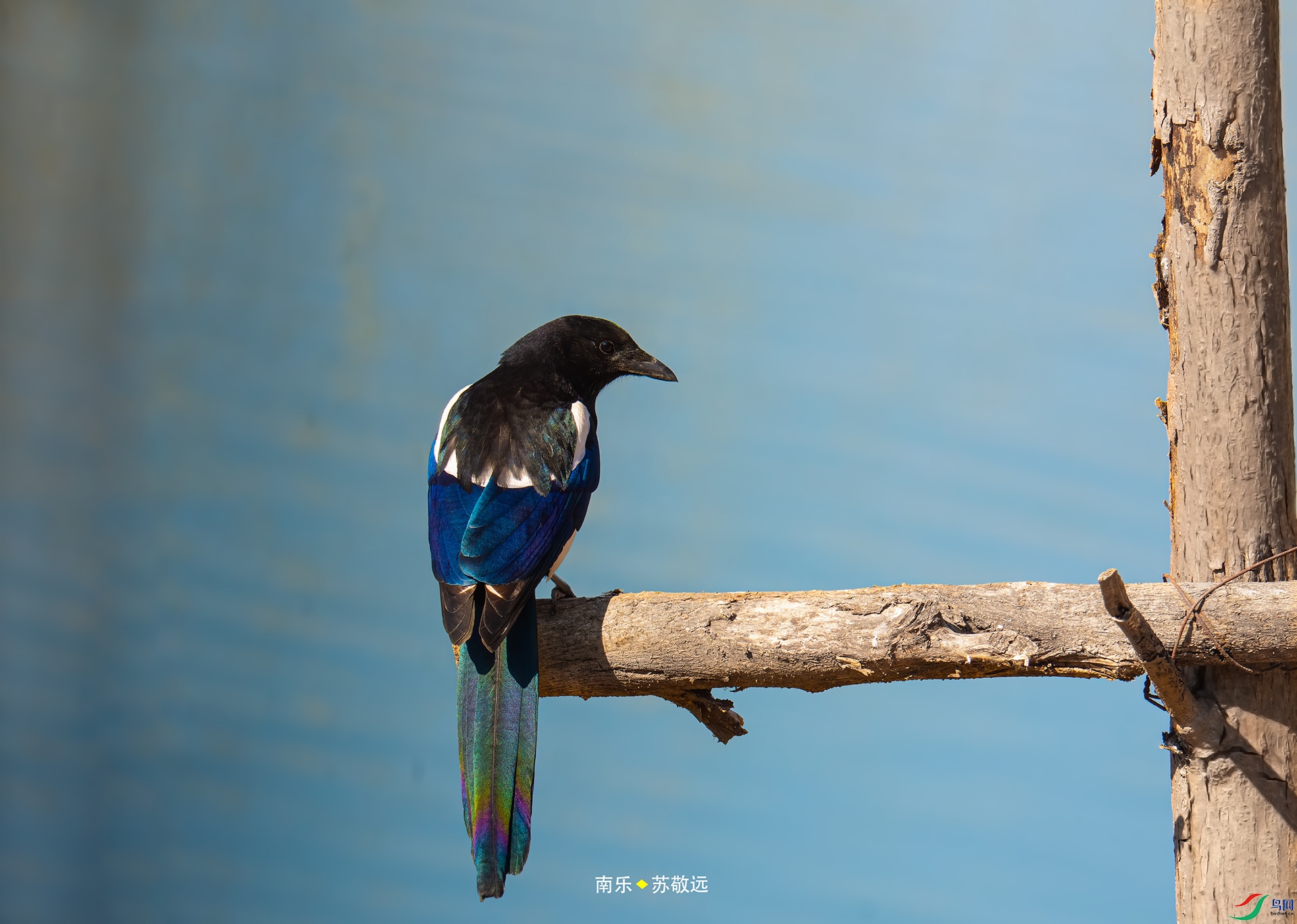 _DSC4998С.jpg