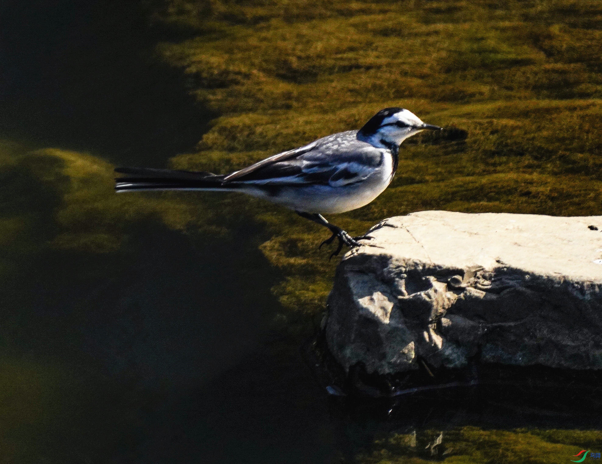 065DSC09457_1_����.jpg