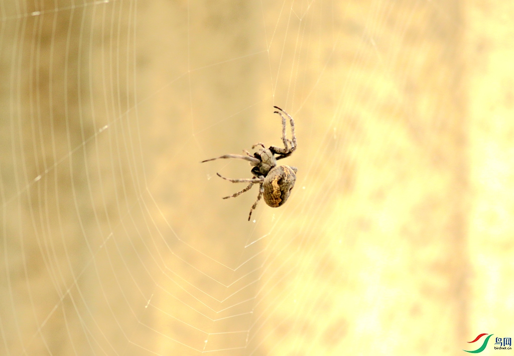 367A2667_����.jpg