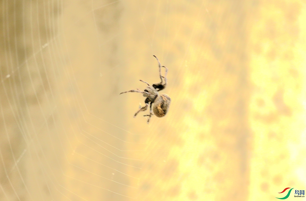 367A2666_����.jpg