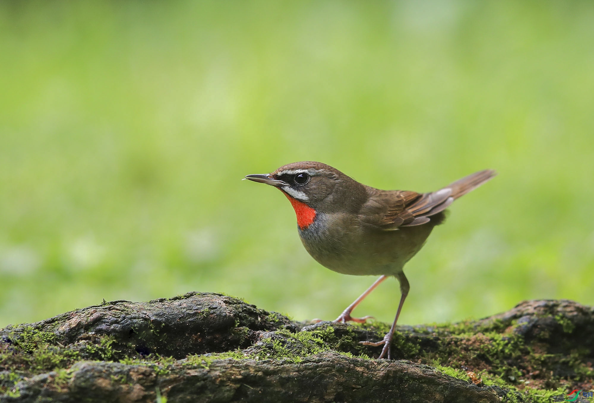 BT1I0013--�� (3).jpg