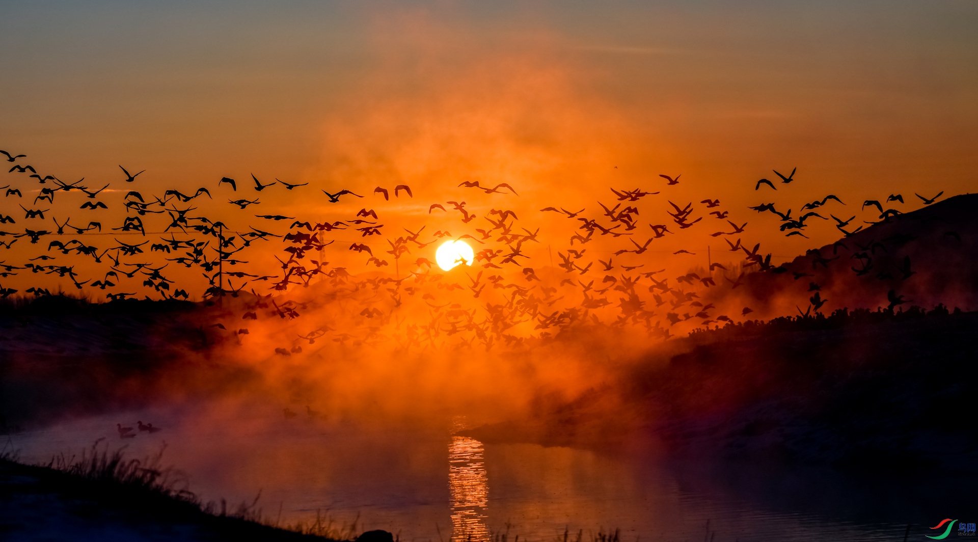 ������С�ӱ�