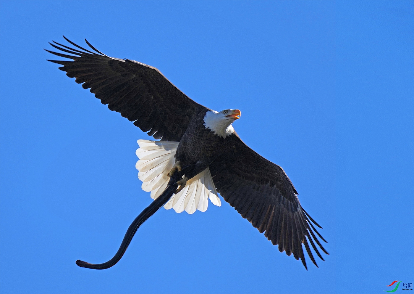 DSD09198----.jpg
