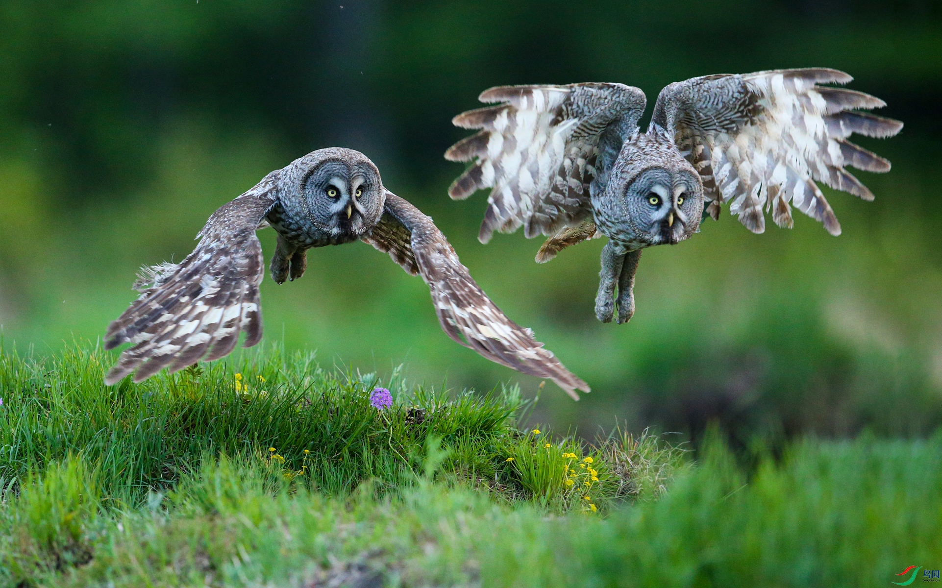 ��ͷ���� - ����.JPG