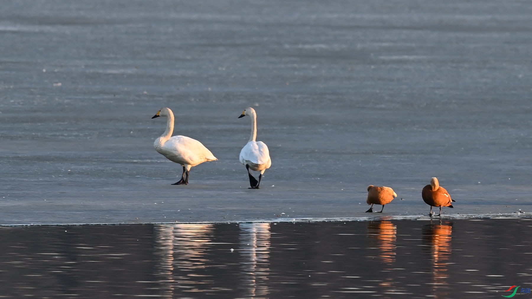 DSC_6724.jpg