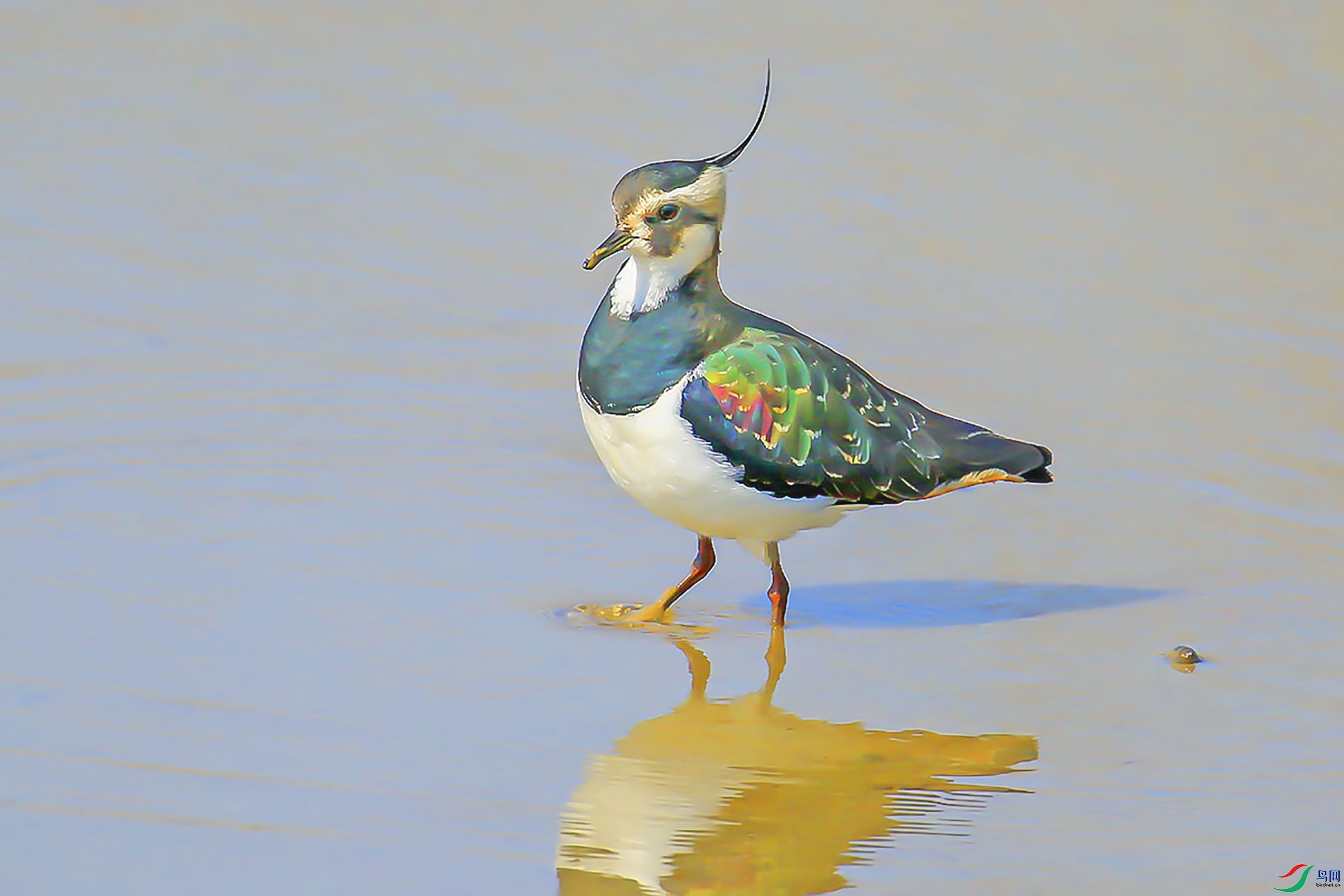 3D1A6104.JPG