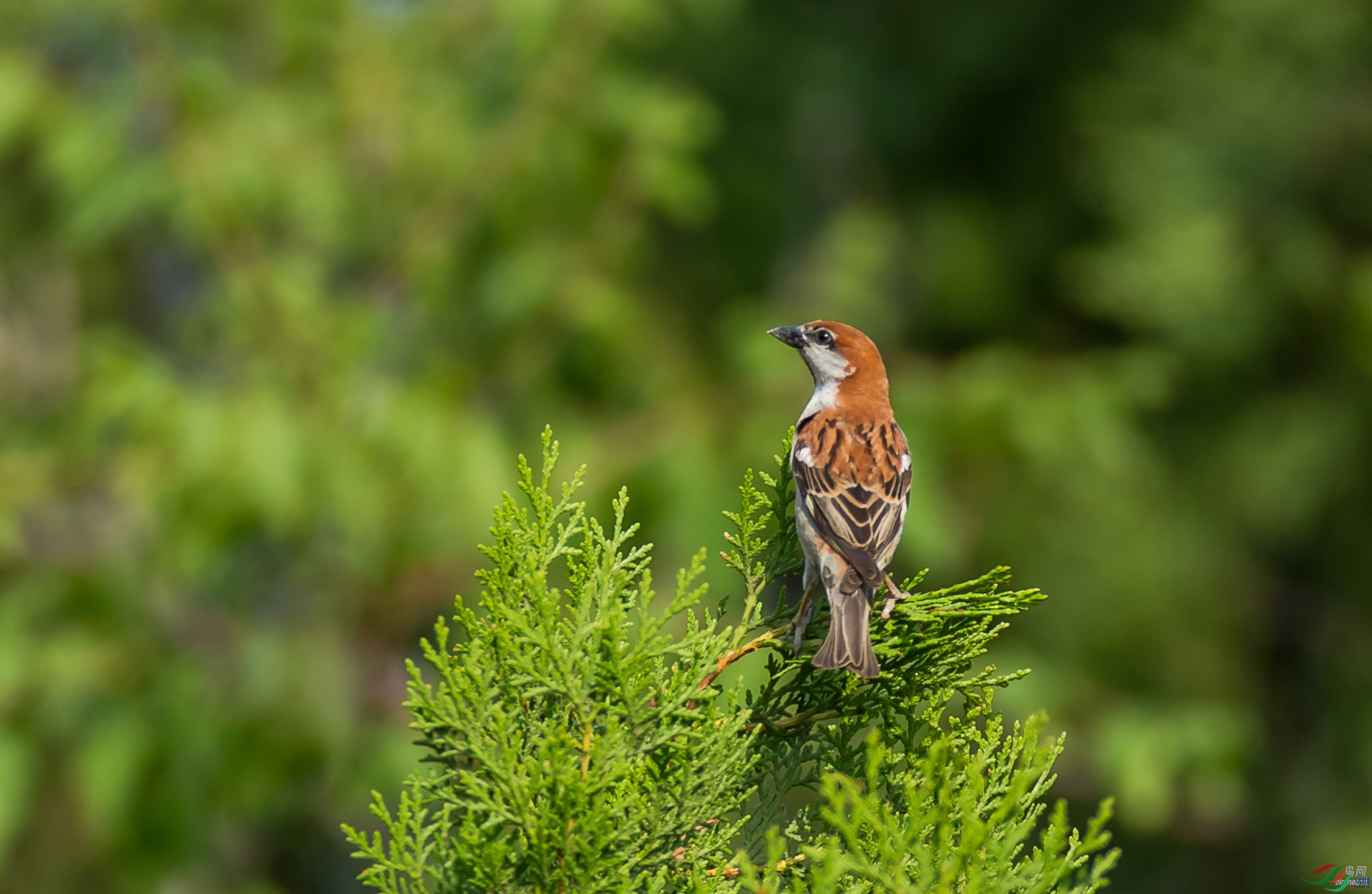 ��غ�һ  ��ʦ������ɽ��ʡ�ٷ���������.jpg