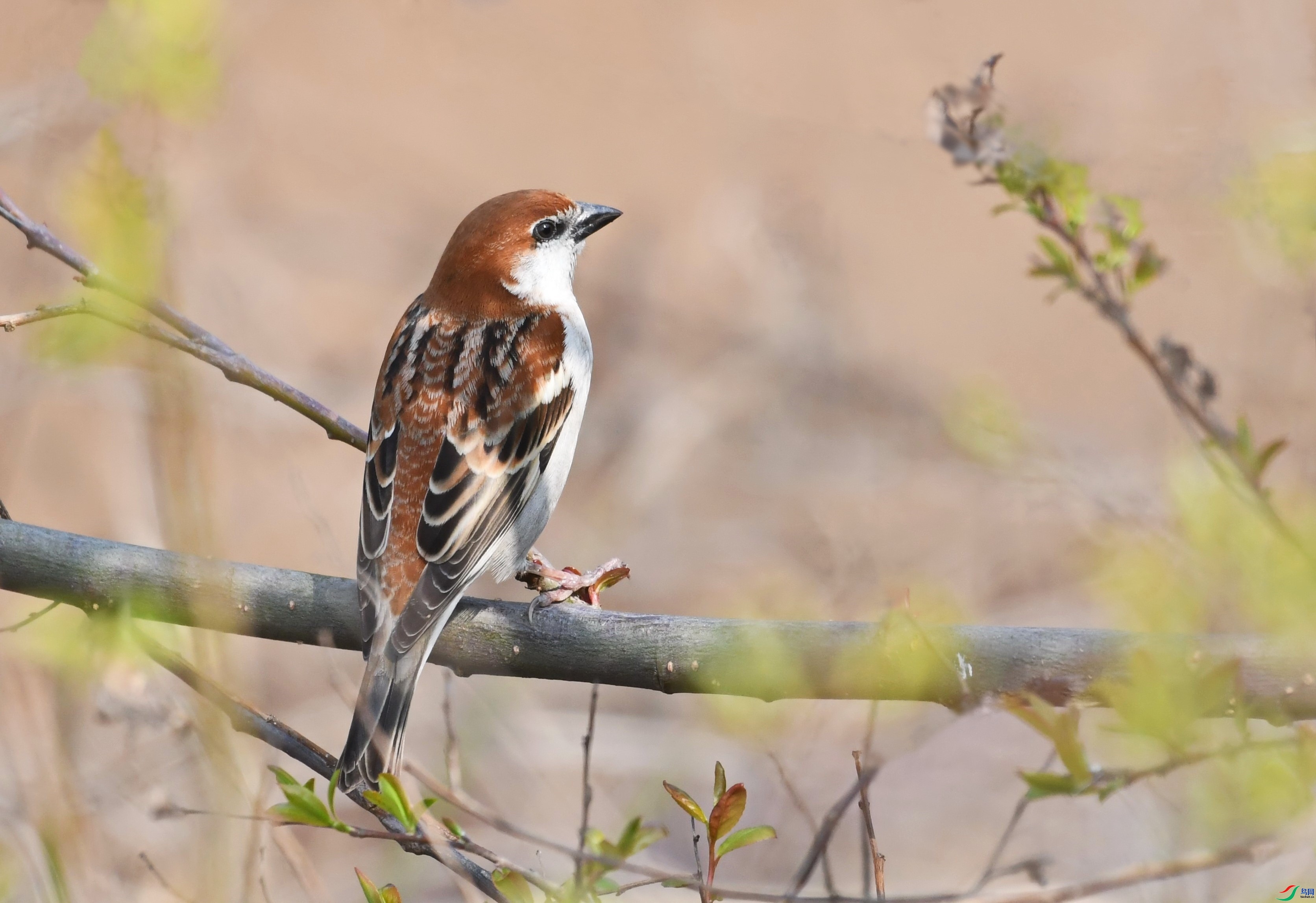 889974  ��ʦ�������㽭ʡ�����н�ɽ��.jpg