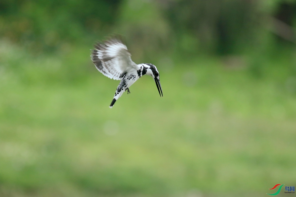 367A3670 (2)_����.jpg