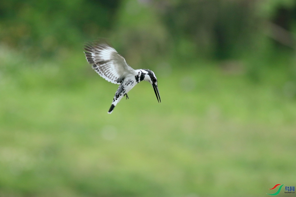 367A3673 (2)_����.jpg