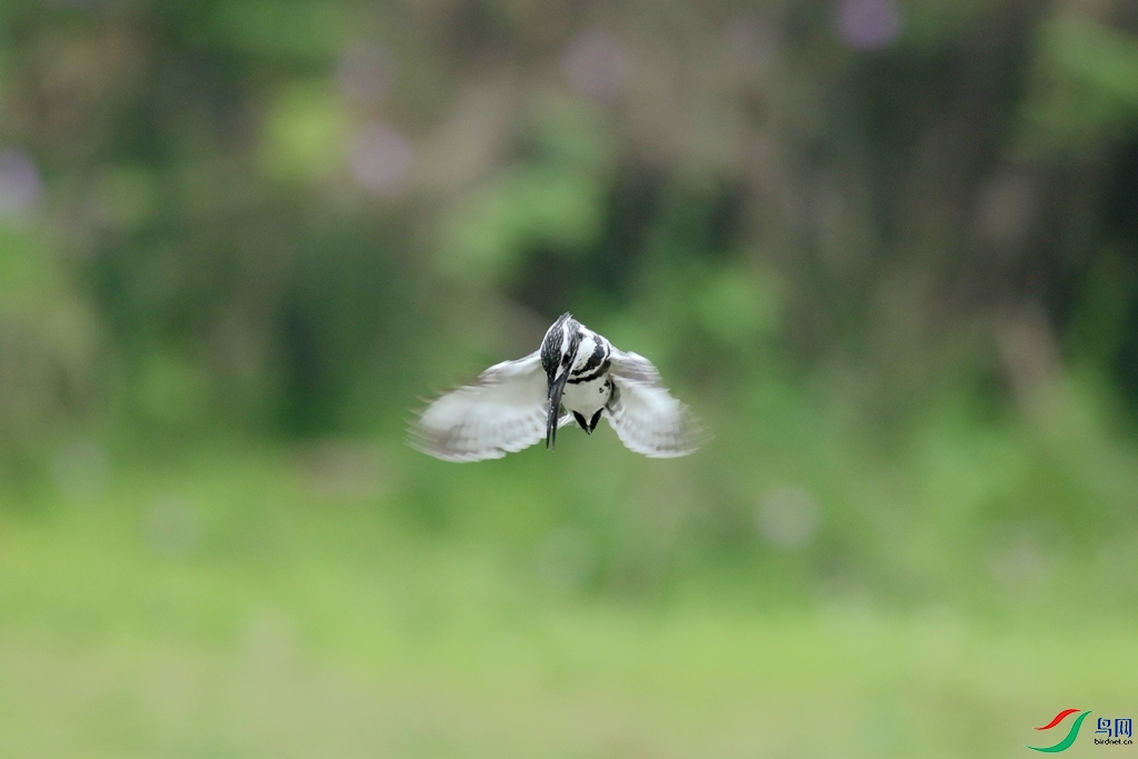 367A3725 (2)_����.jpg