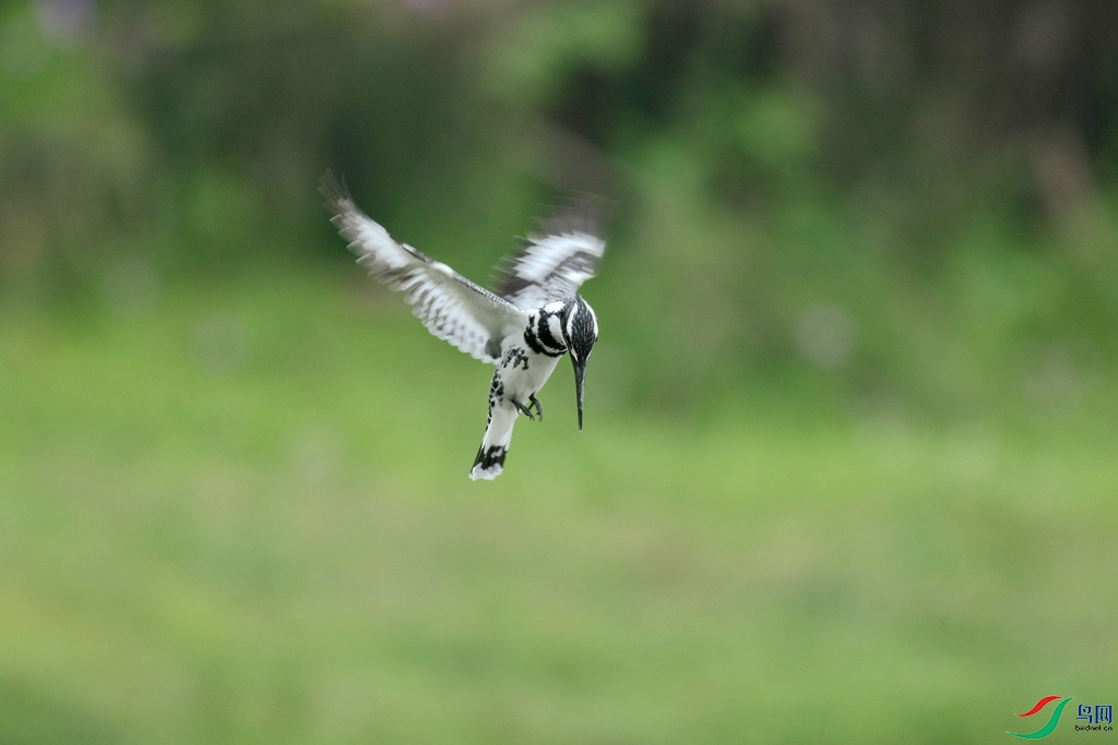 367A3759 (2)_����.jpg