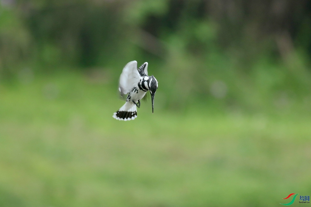 367A3750 (2)_����.jpg