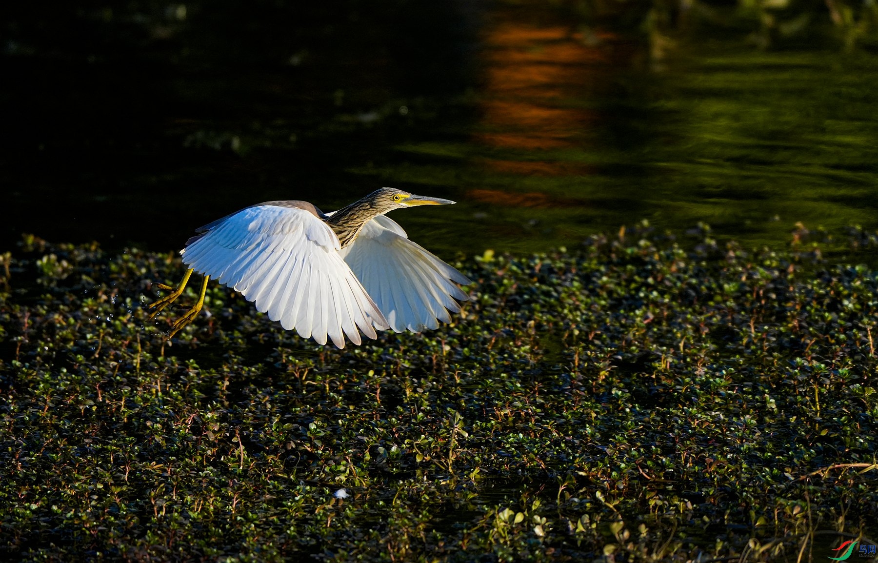 _DSC6205_����.jpg