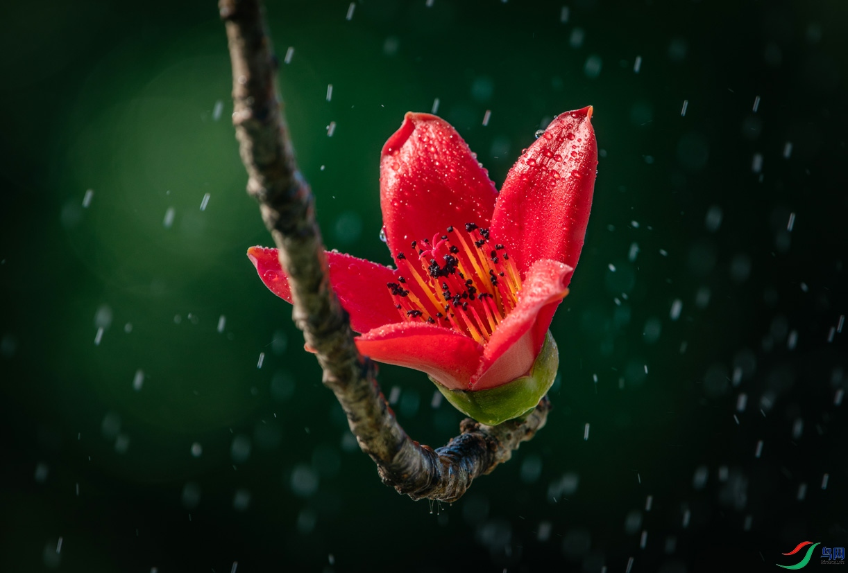 GEF_8581����.jpg