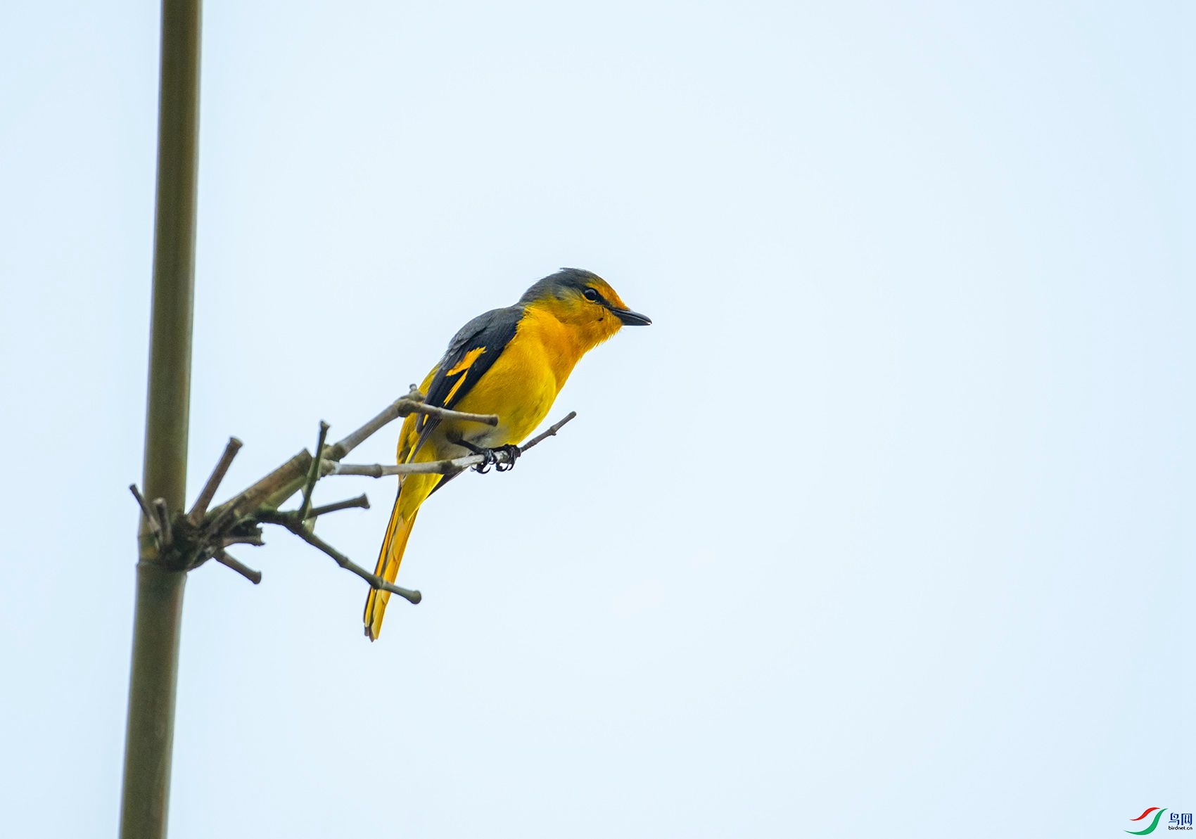 DSC_7349.jpg