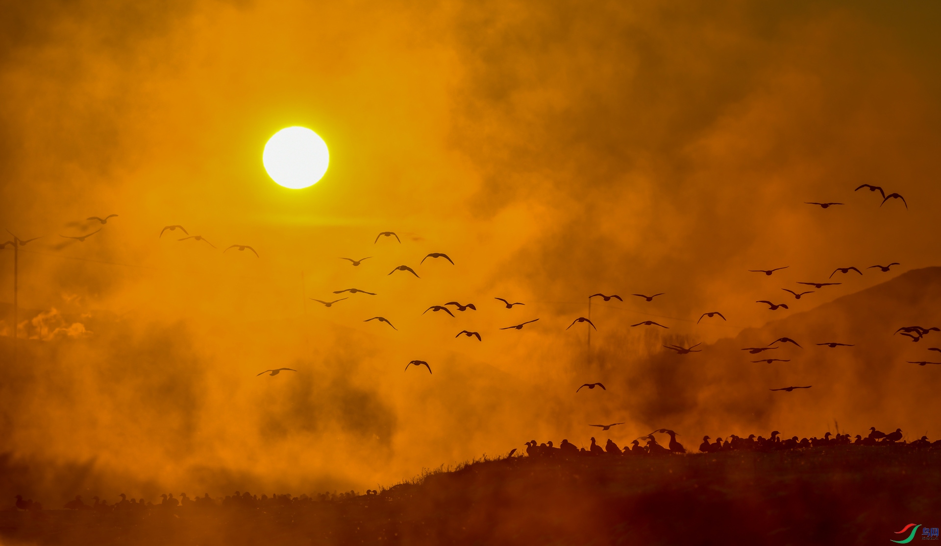 ����ӭ����