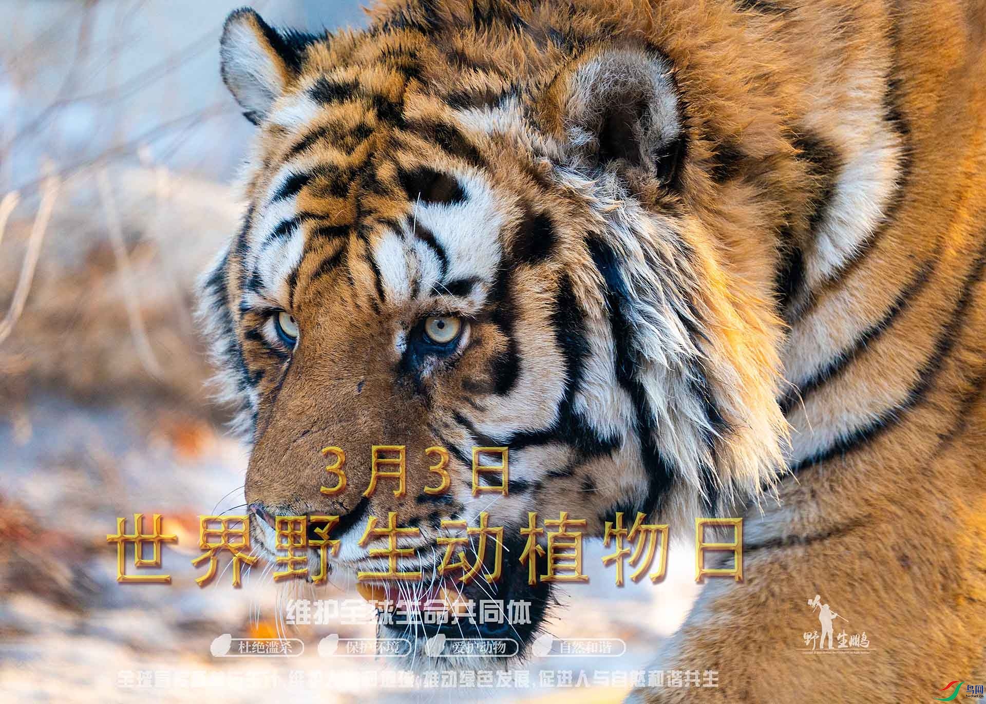 _DSC2559 ���� 2.jpg