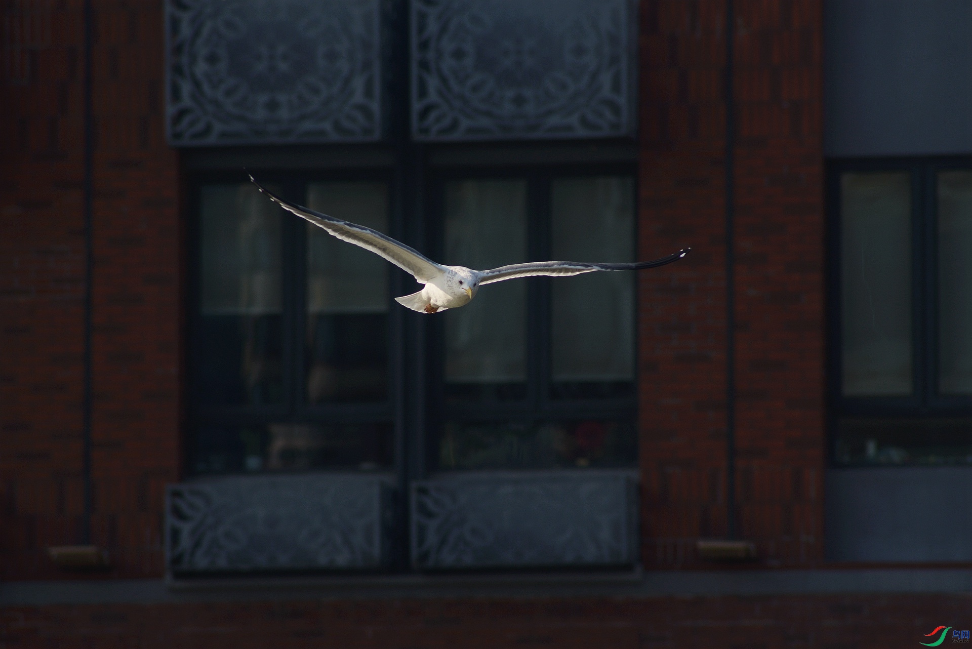 DSC_0741_����.jpg