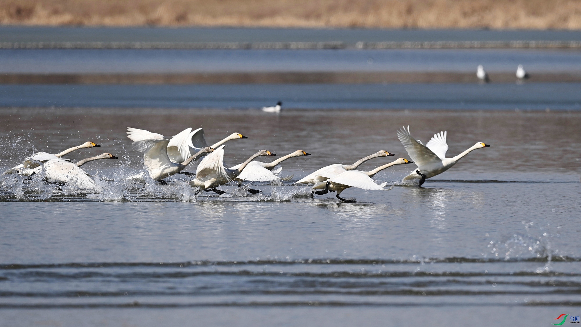 DSC_0601.jpg