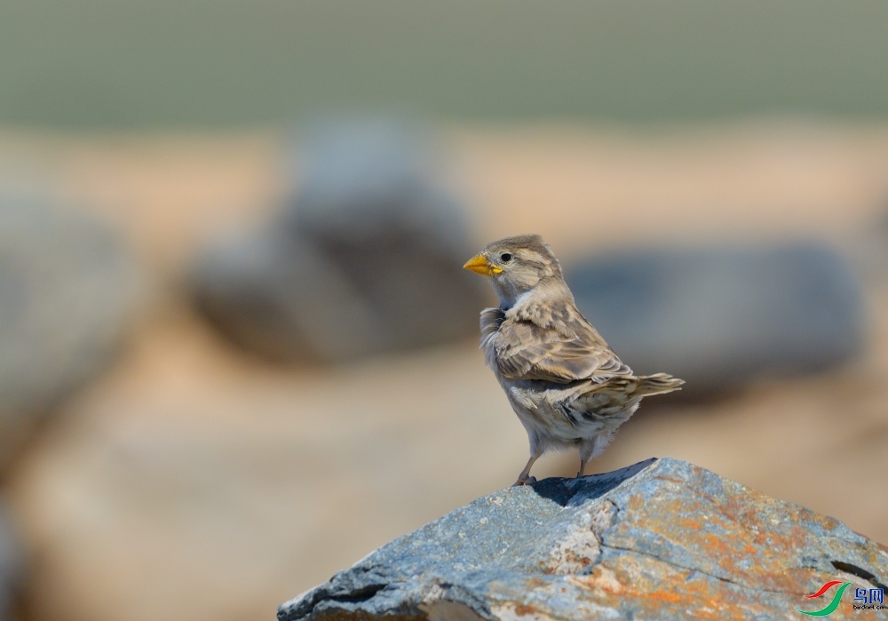 ���789  ��ʦ��������.��.ά.��.��.��������.��.����������.jpg