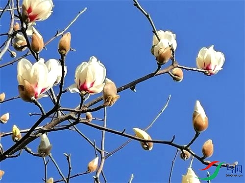 ΢��ͼƬ_20220303082810 - ����.jpg