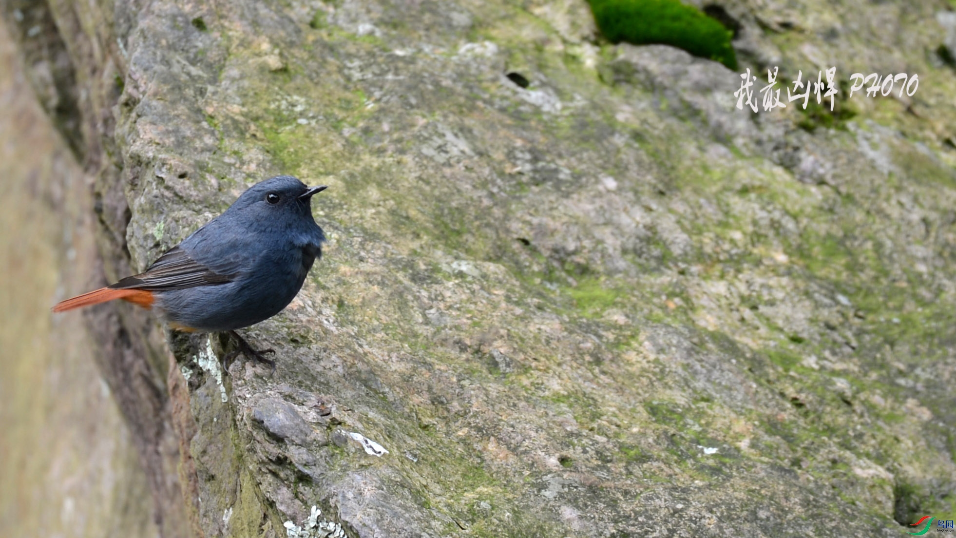 DSC_5261.jpg
