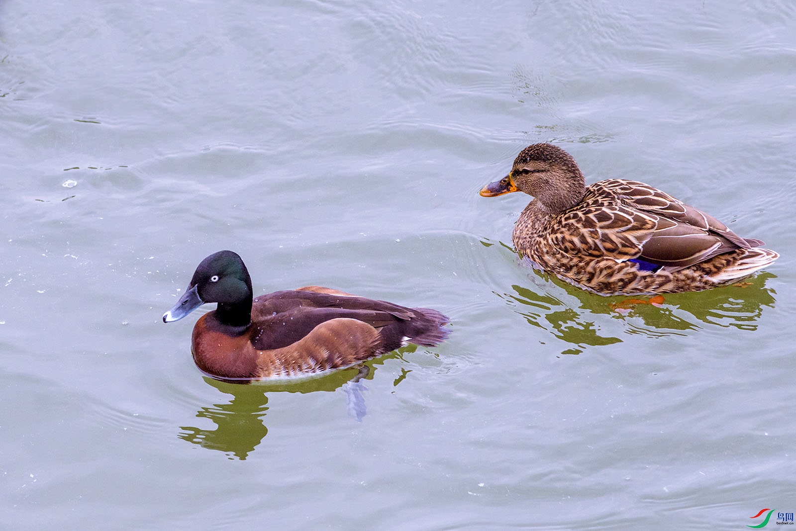 DSC_5413 ����.jpg