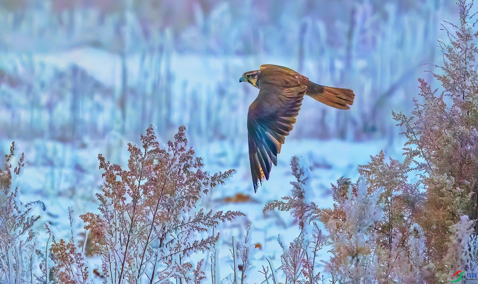 AC0I9161 ���� 3.jpg