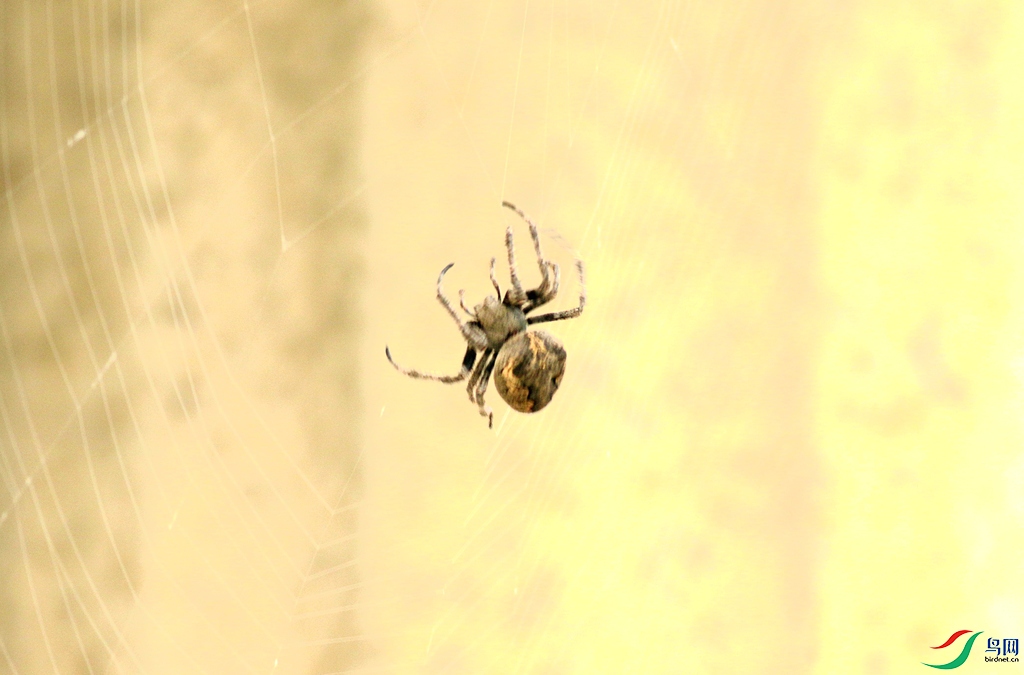 367A2657_����.jpg