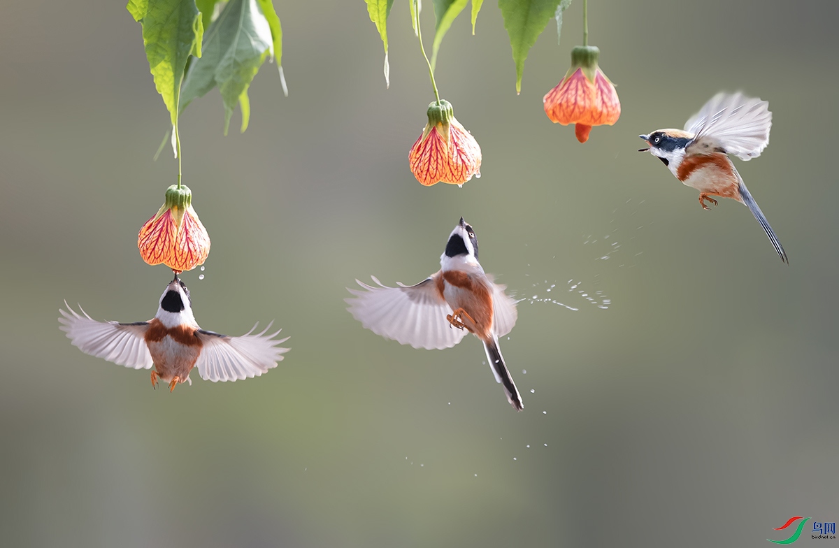 DSC_5885-�ָ���-�ָ��� ����.jpg