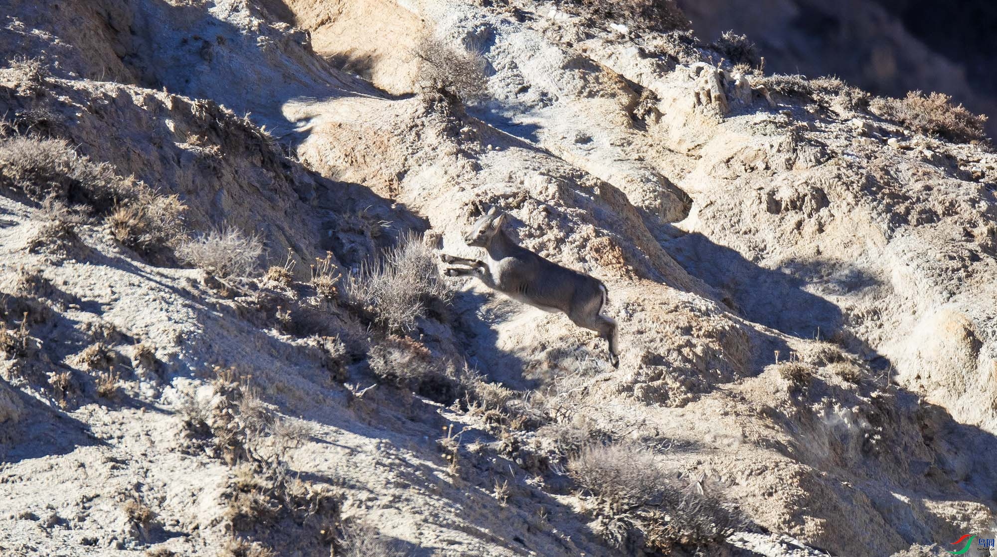 AA7I4759-.jpg