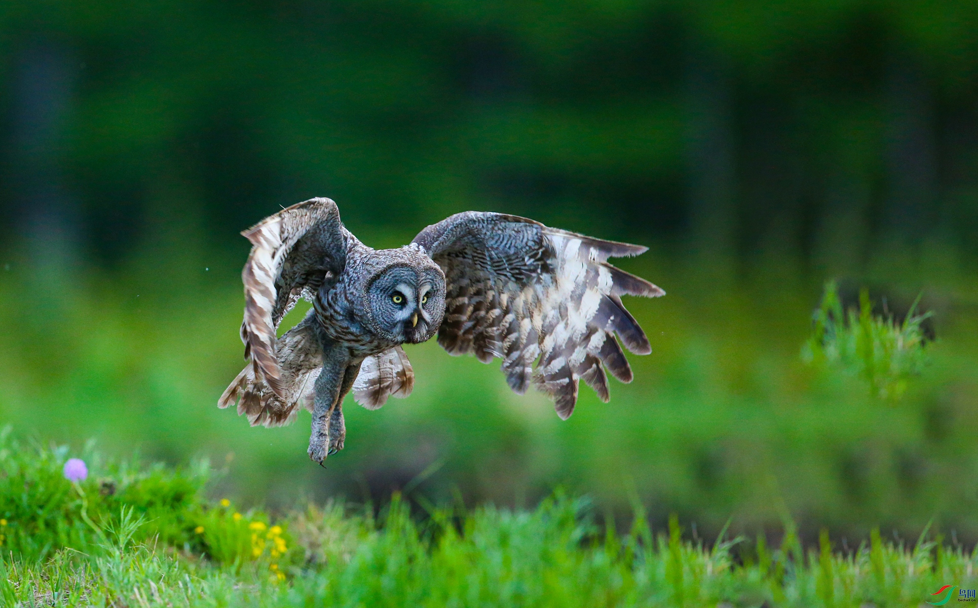 BE7W1961 - ����.JPG