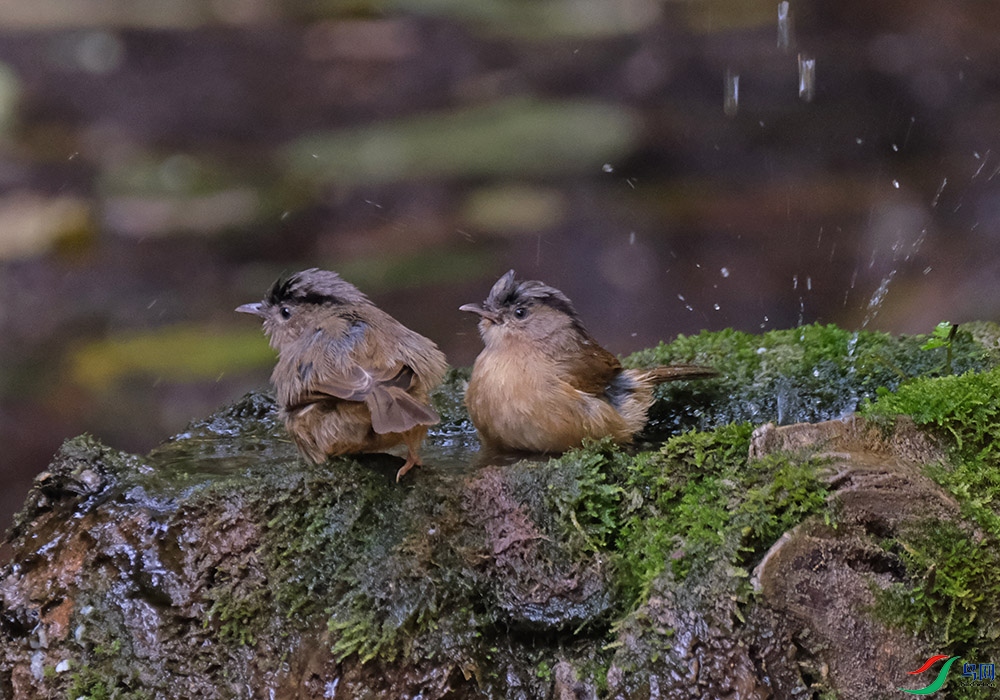 DSCF2398.1.jpg
