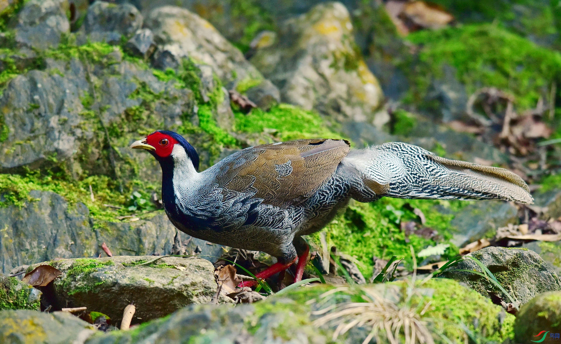 D8I_8724.jpg