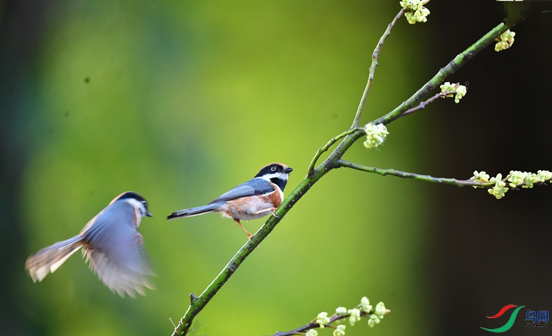 DSC_8870_��ͼ��_����4.jpg