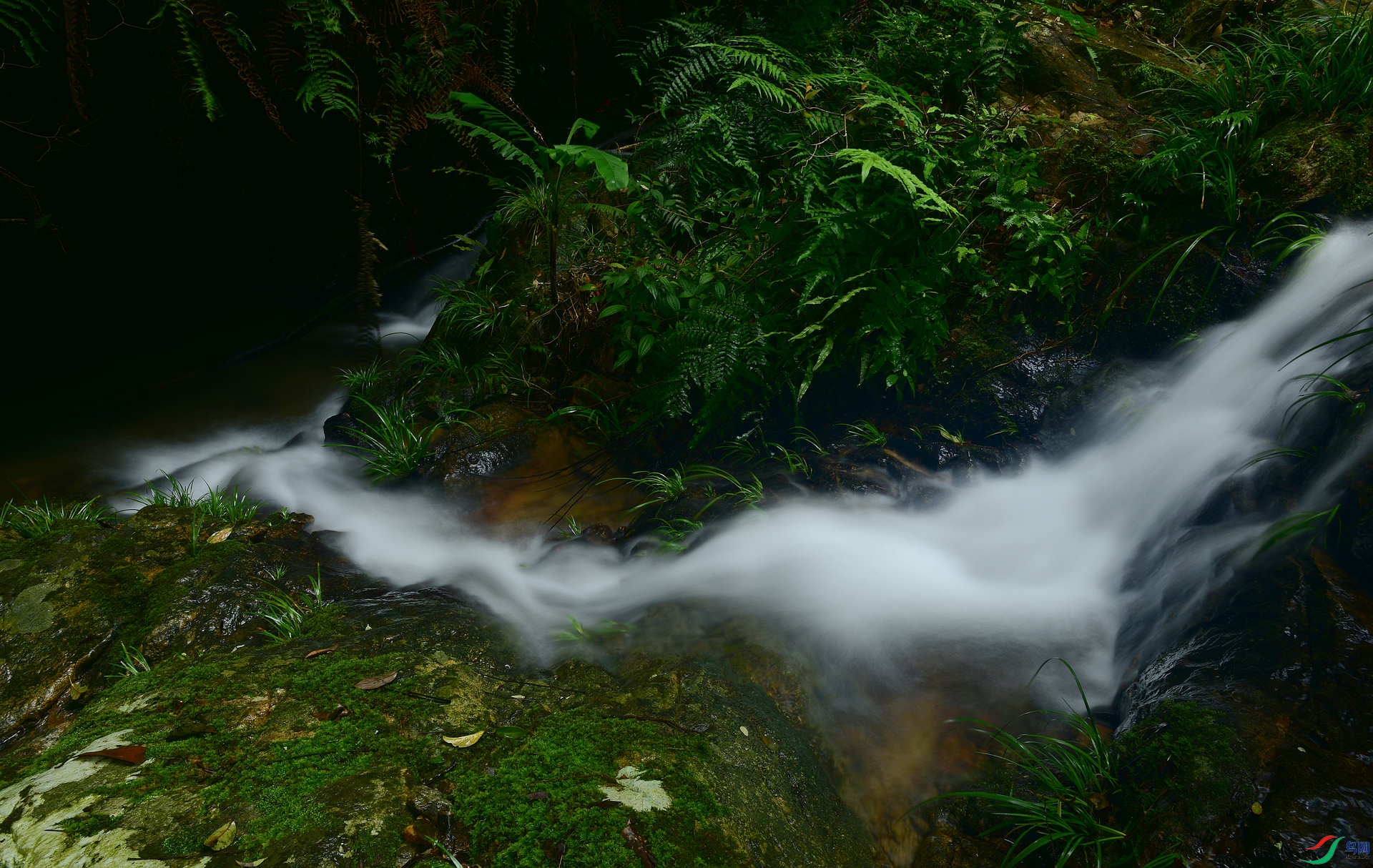 D8I_0499.jpg