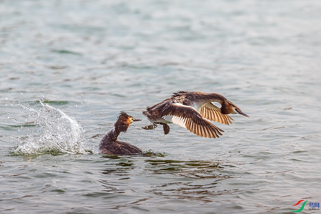 hnsq220220  (8985).jpg