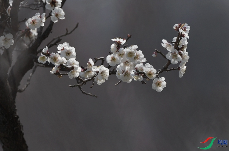 DSC_3896 - ����.JPG