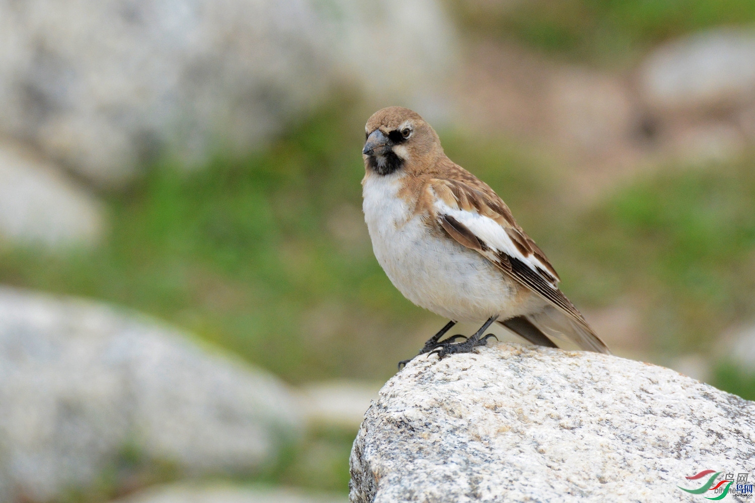 �ຣ·; ��ʦ����.jpg